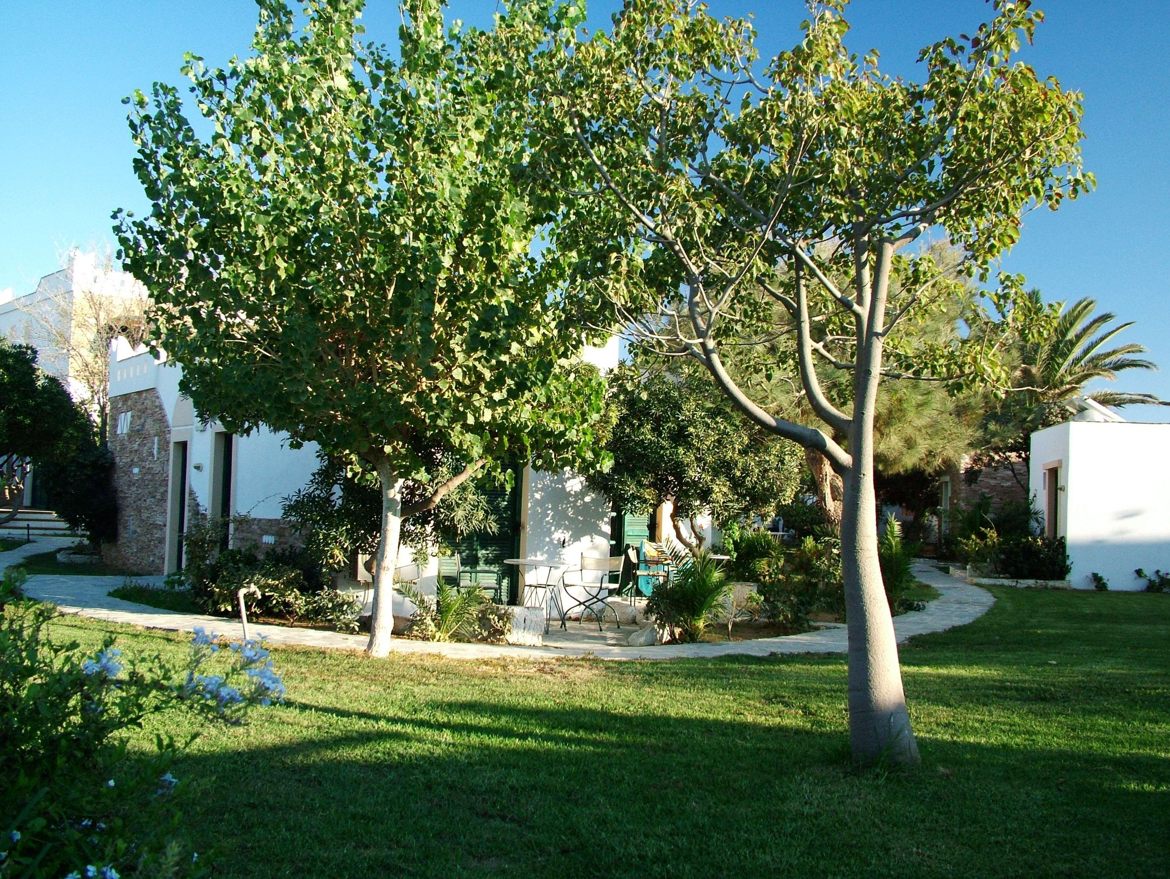 Hotel Naxos Beach Naxos City Luaran gambar
